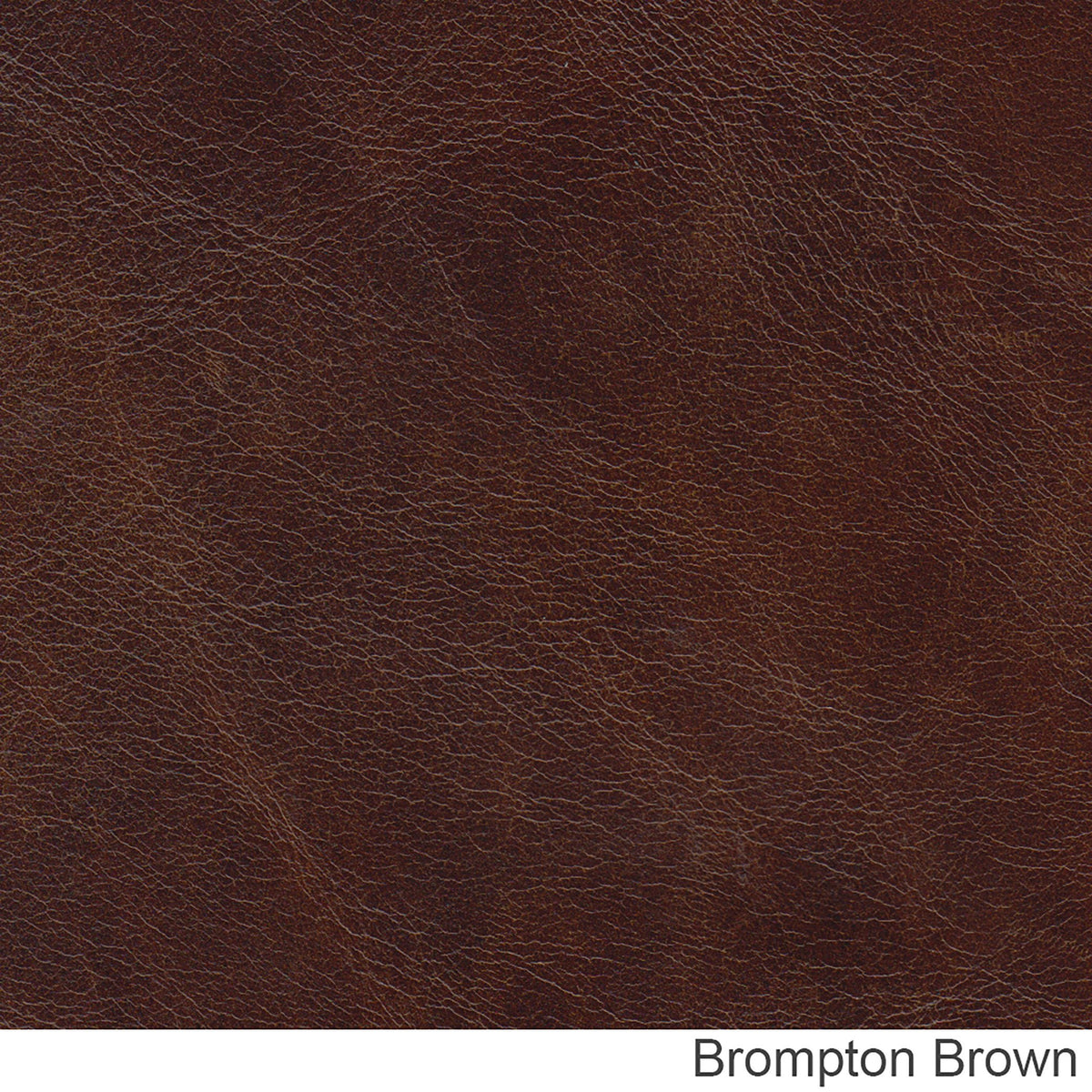 Clinton Genuine Leather Sofa With Nailhead Trim - Made in the U.S.A. - Coja