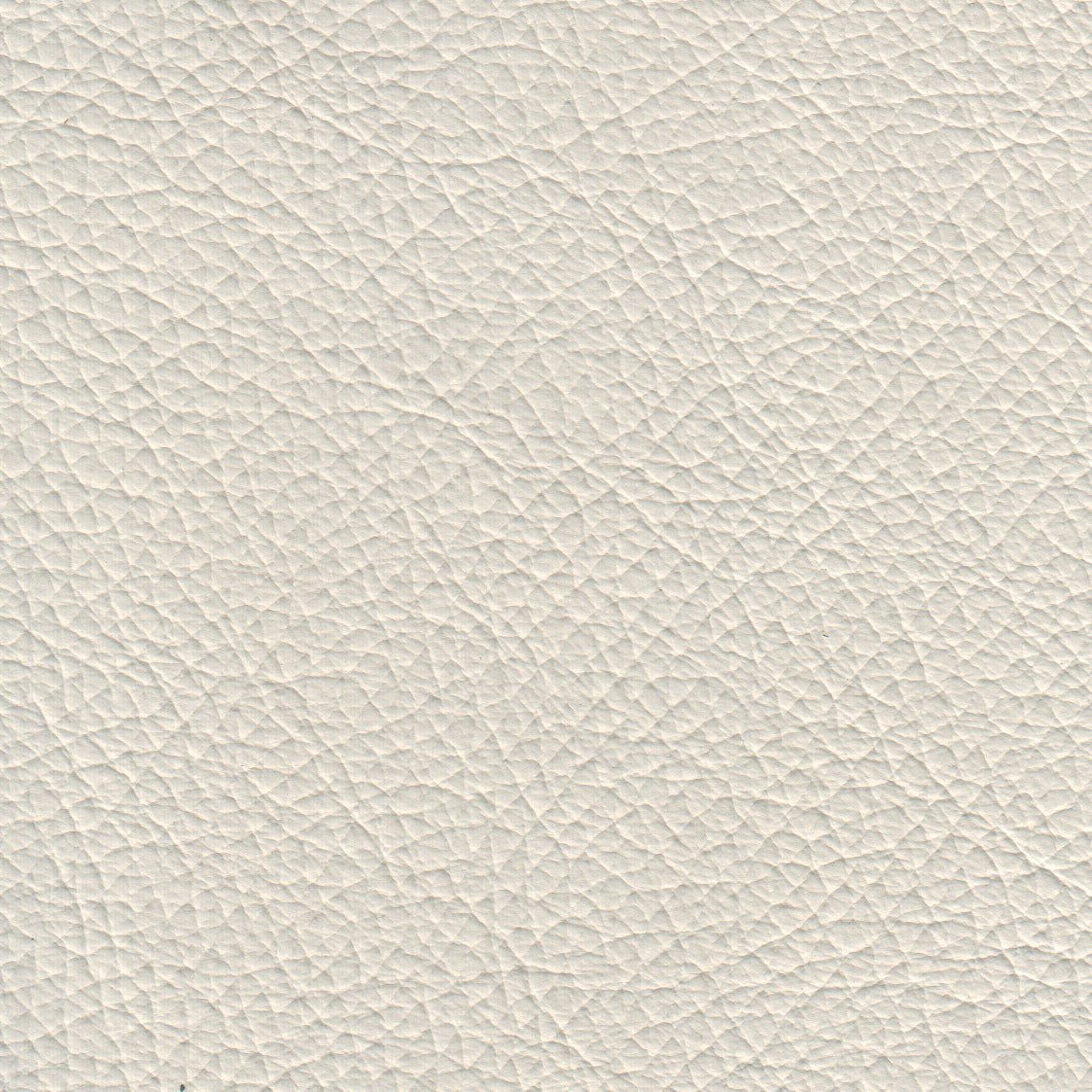 Benson Leather Chair - Coja