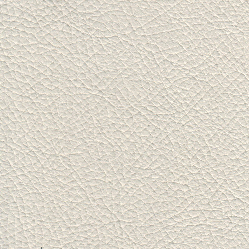 Benson Leather Chair - Coja