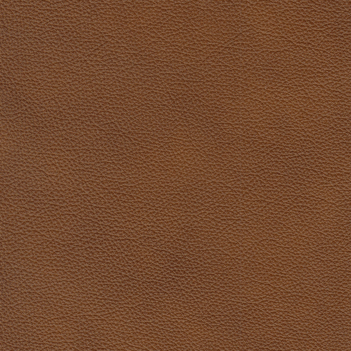 Cherish Leather Sofa - Coja