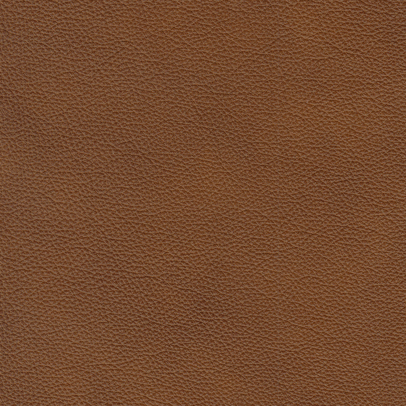 Lyons Leather Sofa Sleeper