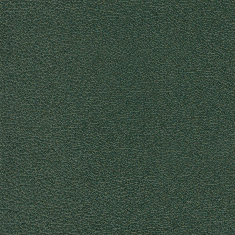 Lyons Leather Sofa Sleeper