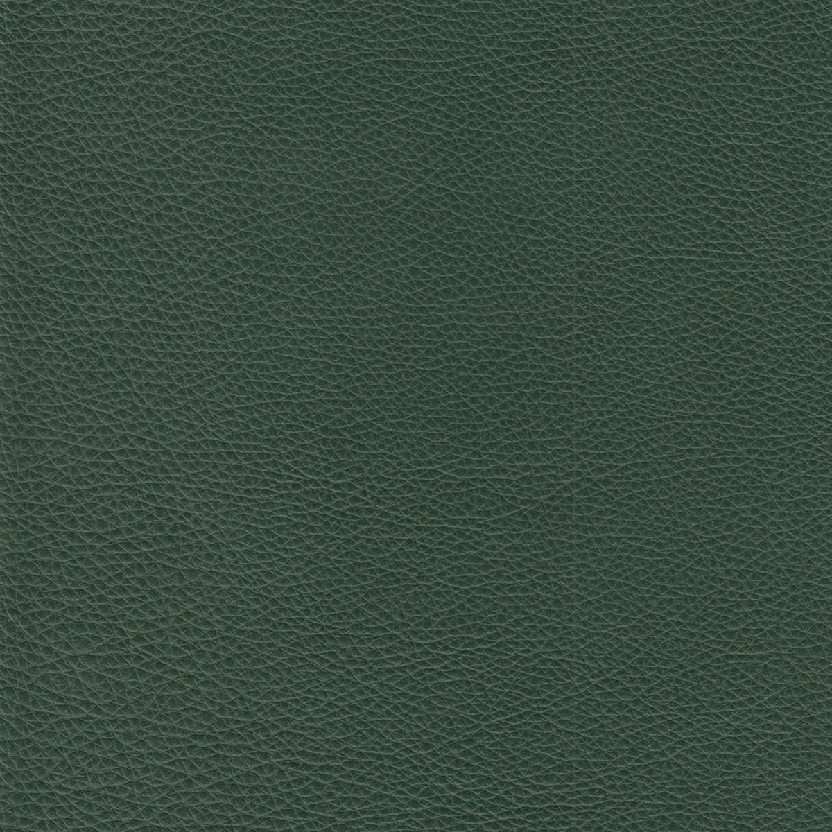 Cherish Leather Sofa - Coja