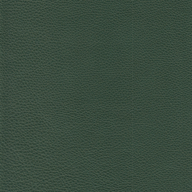 Benson Leather Chair - Coja