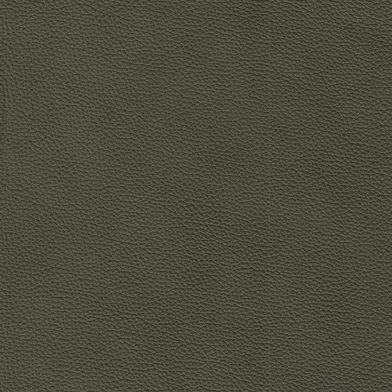 Lyons Leather Sofa Sleeper