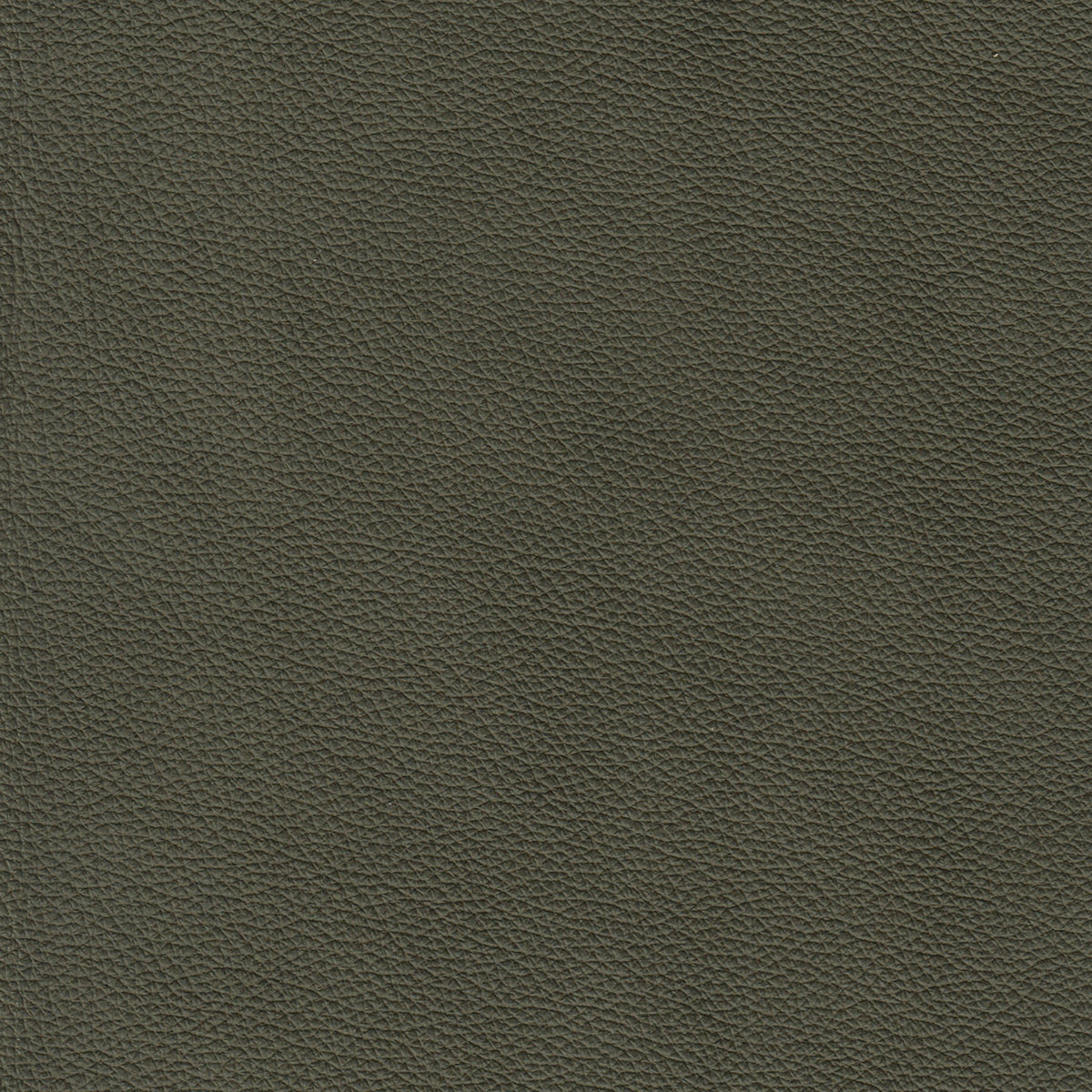 Benson Leather Chair - Coja