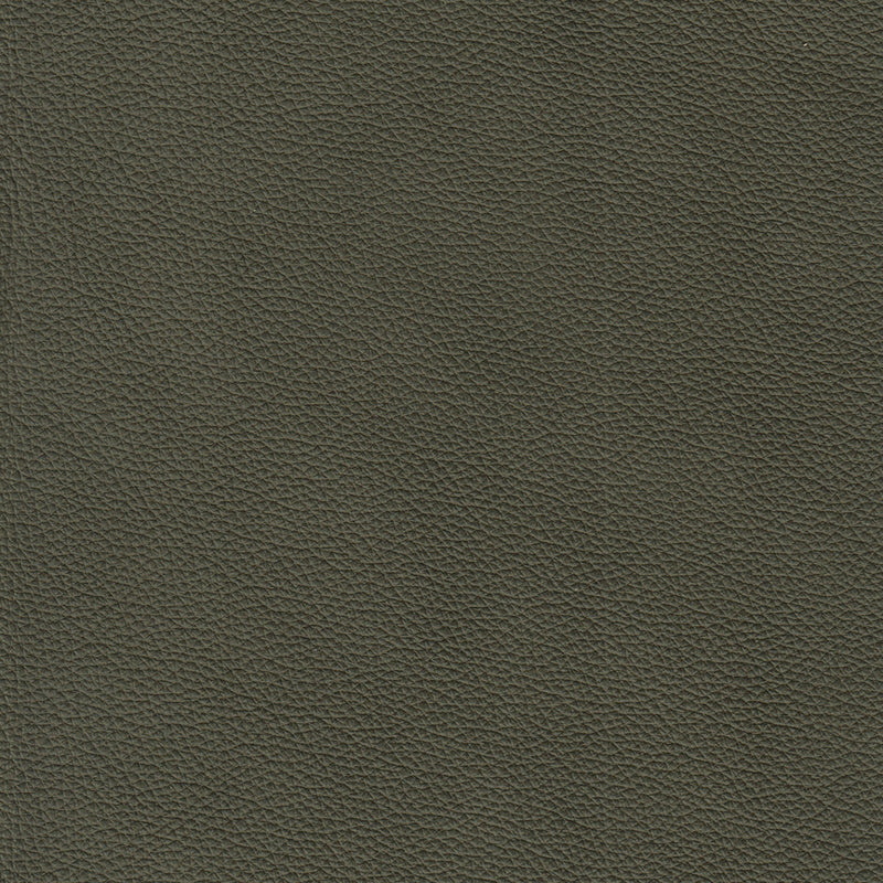 Benson Leather Chair - Coja