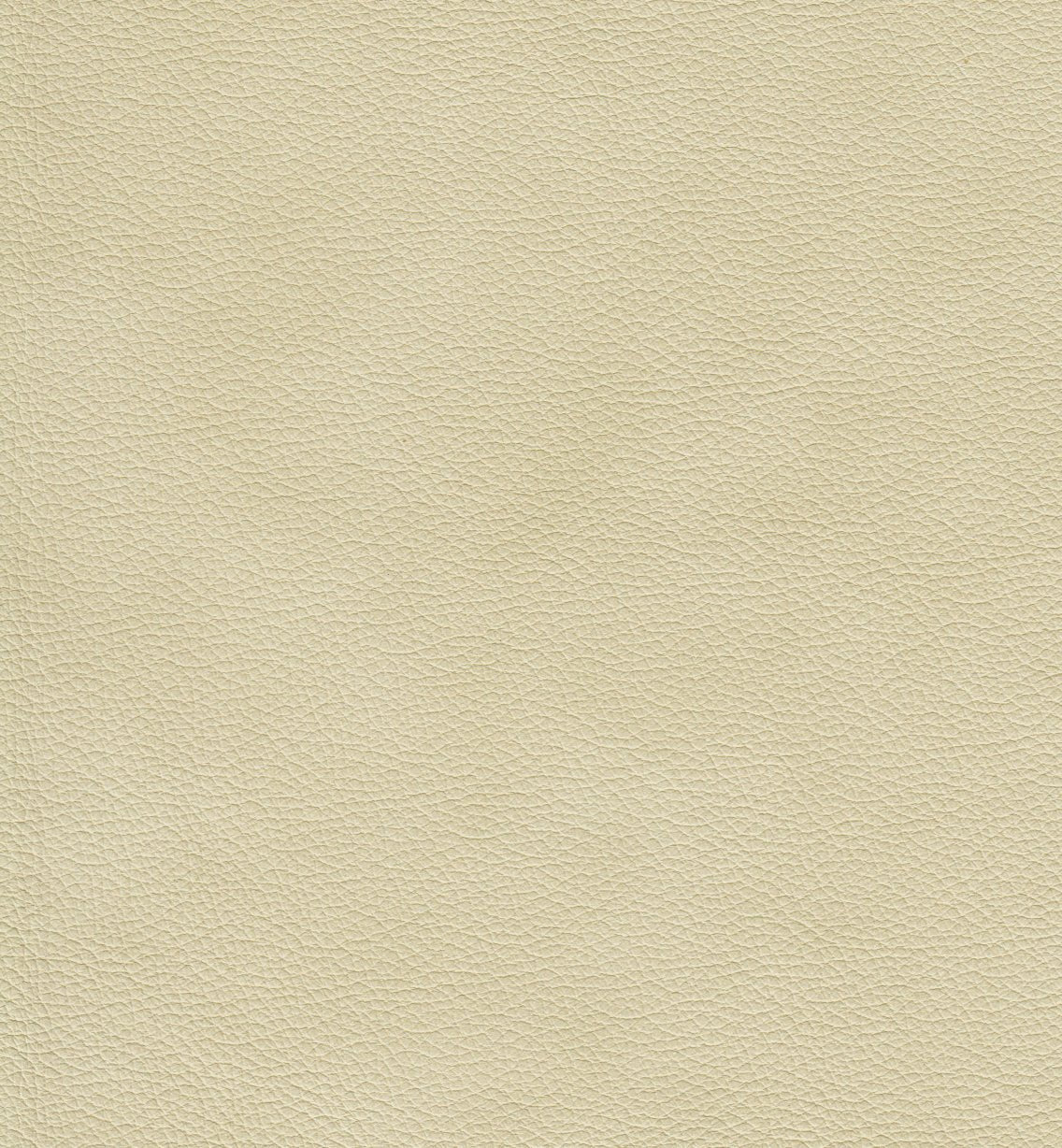 Cherish Leather Sofa - Coja