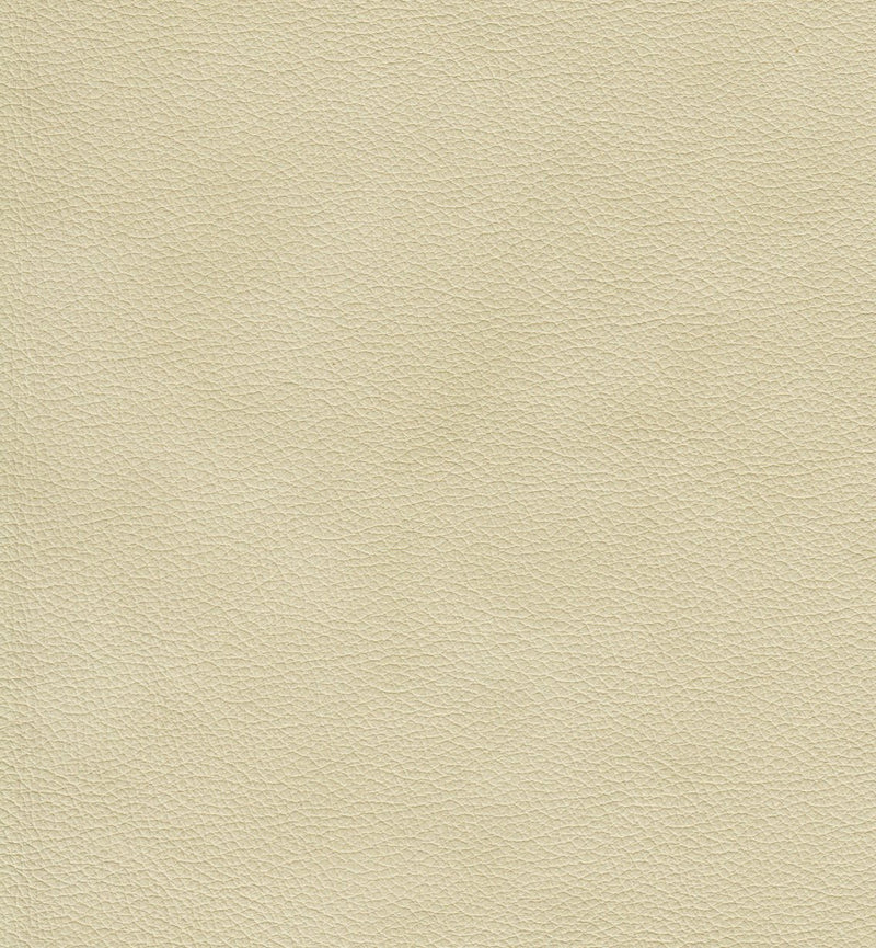 Cherish Leather Sofa - Coja