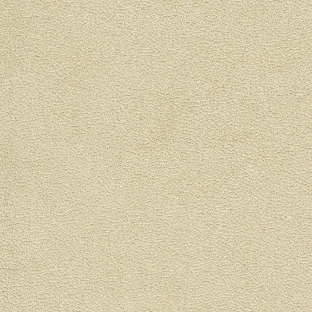 Lyons Leather Sofa