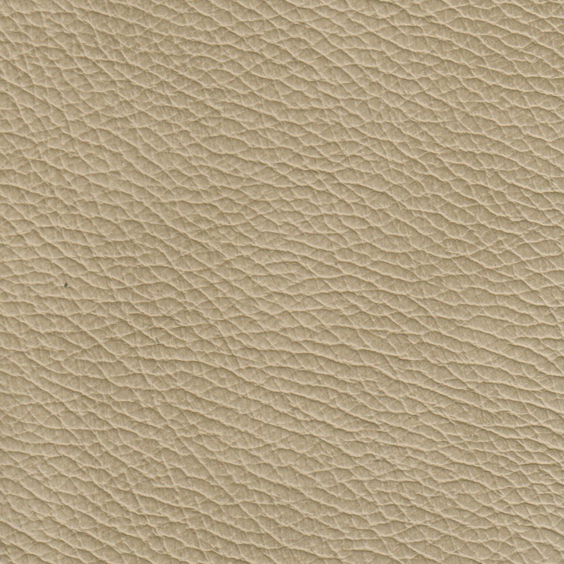 Benson Leather Chair - Coja
