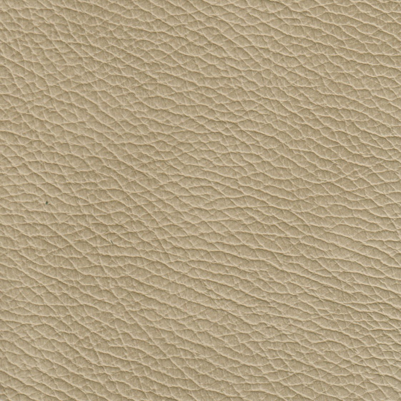 Benson Leather Chair - Coja