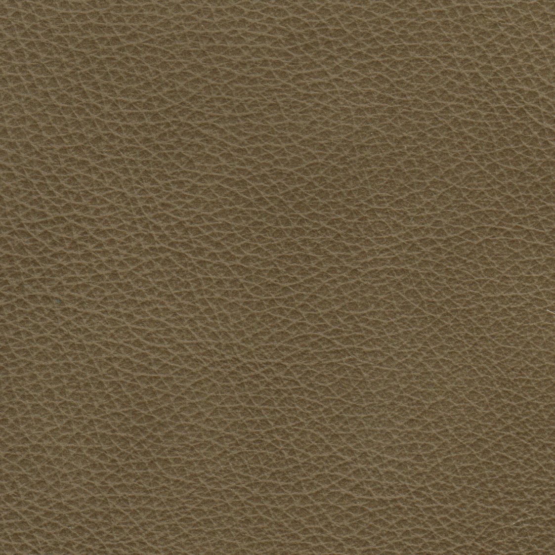 Benson Leather Chair - Coja