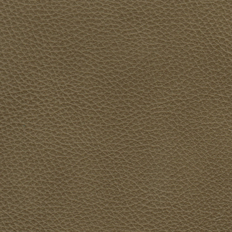 Benson Leather Chair - Coja