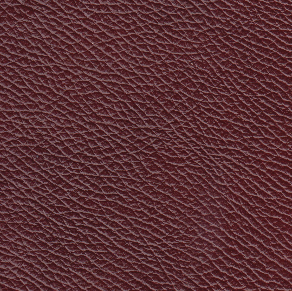 Benson Leather Chair - Coja