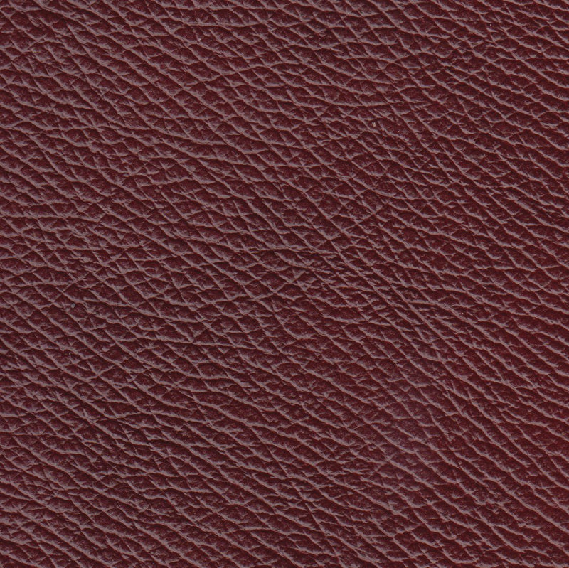 Benson Leather Chair - Coja