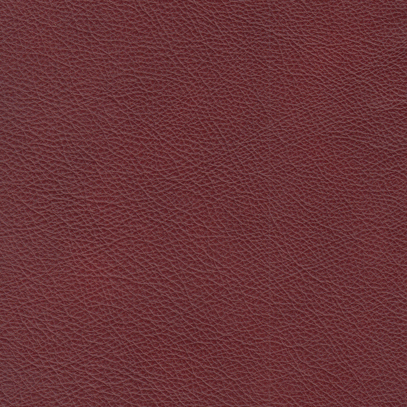 Lyons Leather Sofa Sleeper