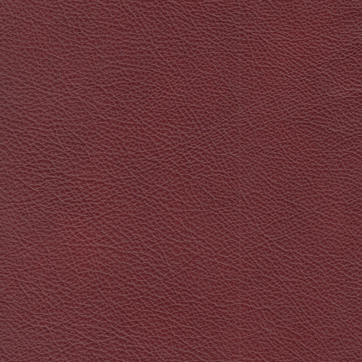 Cherish Leather Chofa Sectional Left Facing - Coja