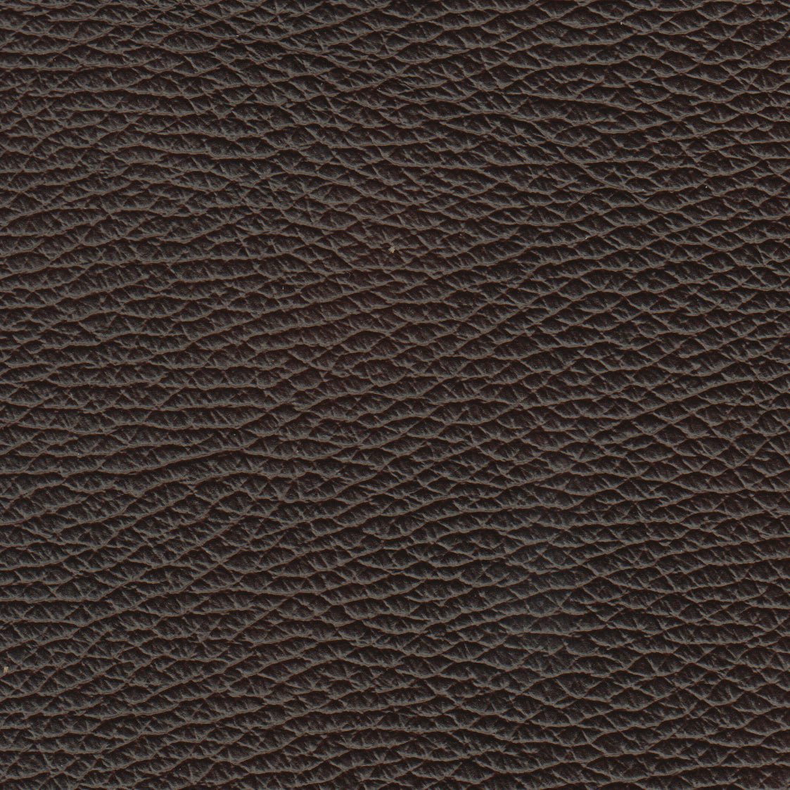 Benson Leather Chair - Coja