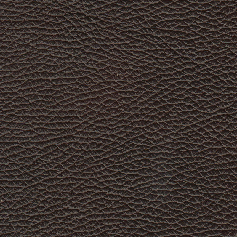 Benson Leather Chair - Coja