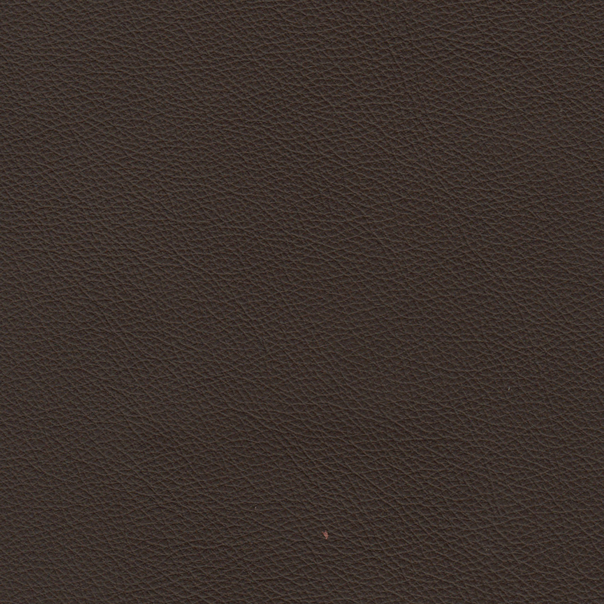 Benson Leather Chair - Coja