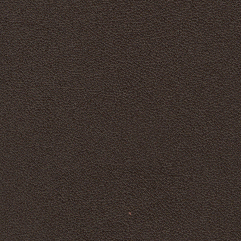 Cherish Leather Sofa - Coja