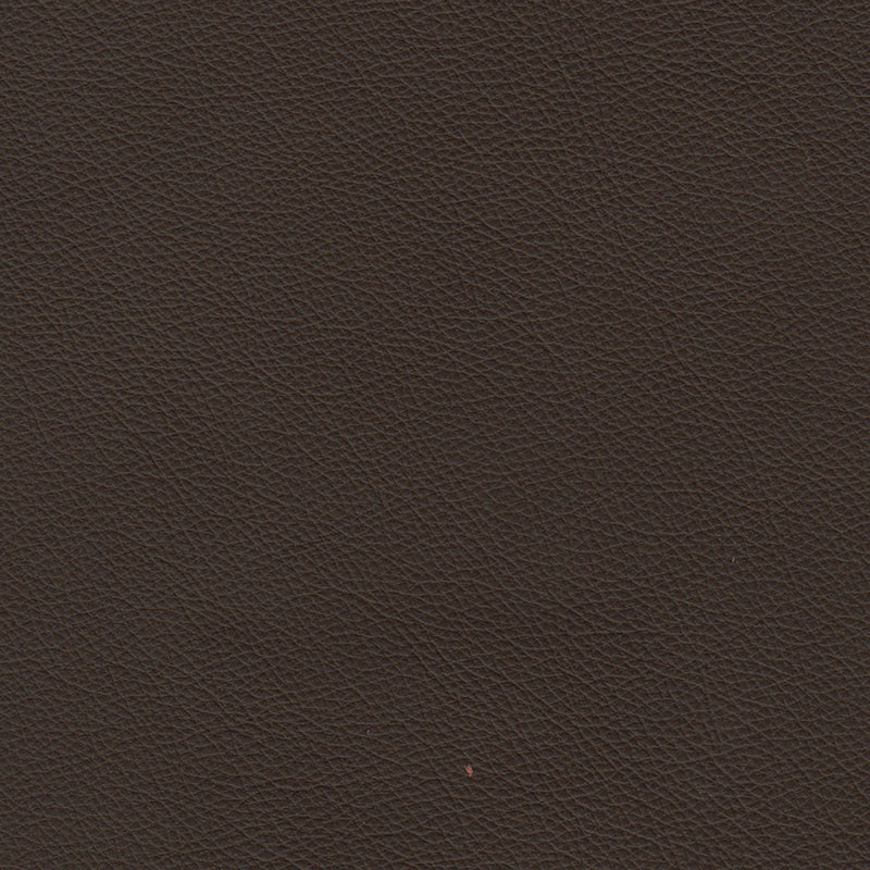 Lyons Leather Sofa Sleeper