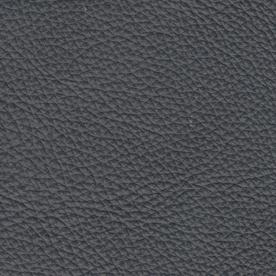 Benson Leather Chair - Coja