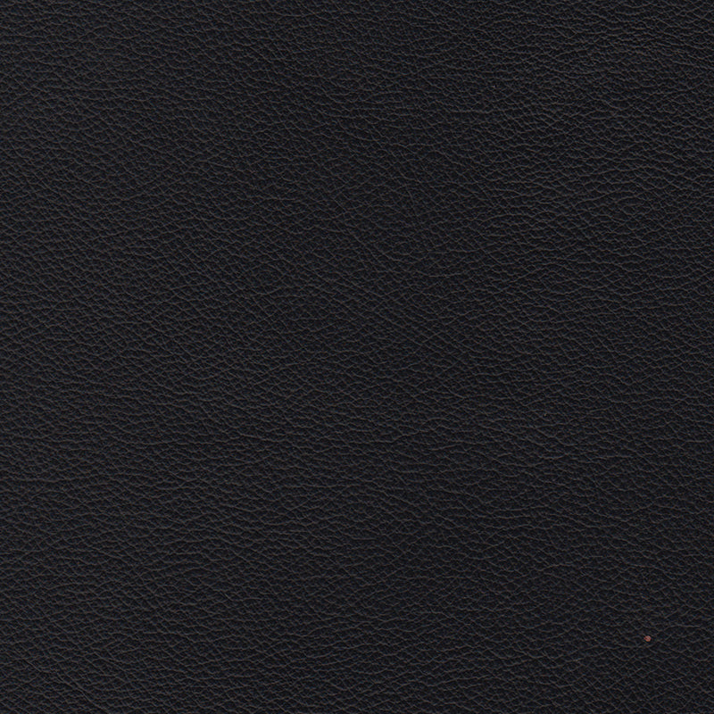 Lyons Leather Sofa Sleeper