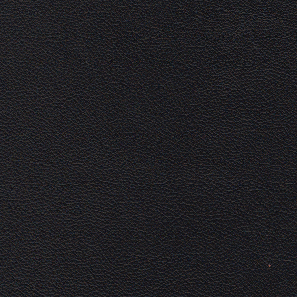 Lyons Leather Sectional Right Facing