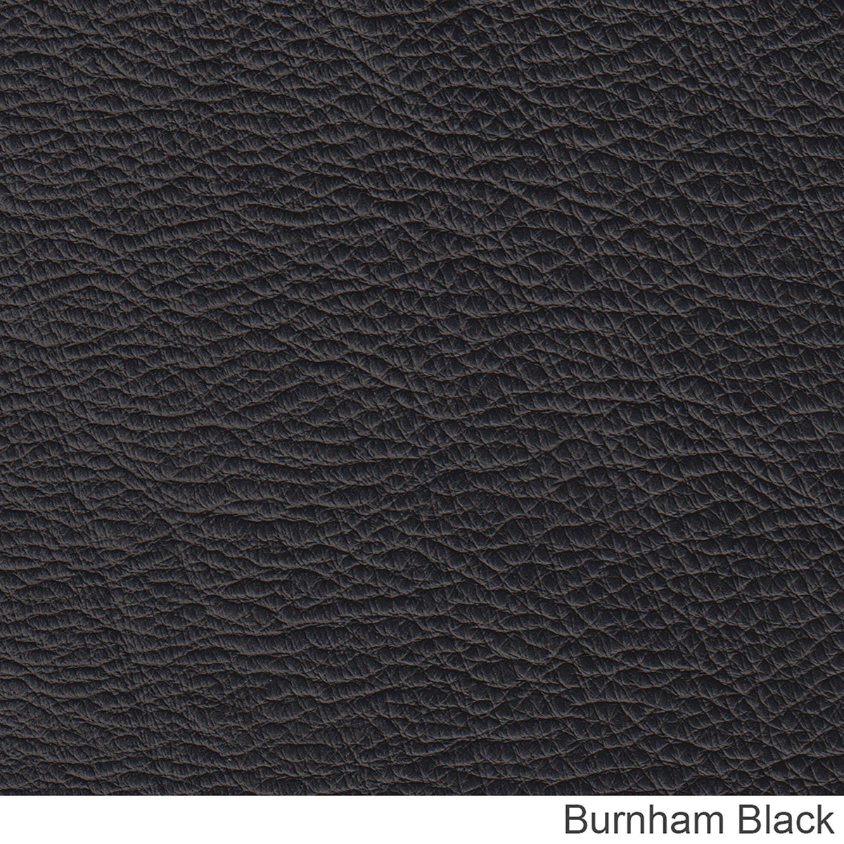 Clinton Genuine Leather Sofa With Nailhead Trim - Made in the U.S.A. - Coja