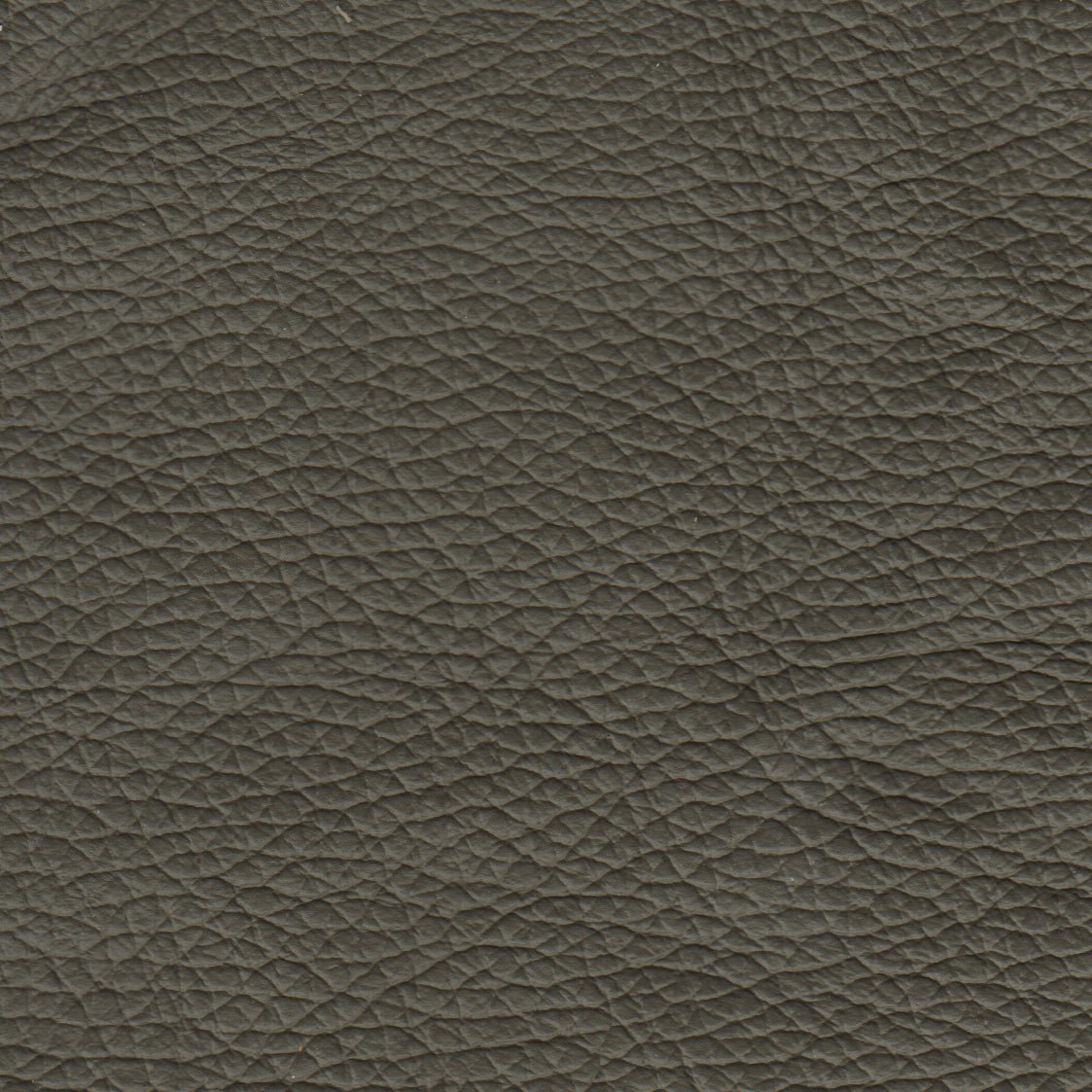 Benson Leather Chair - Coja