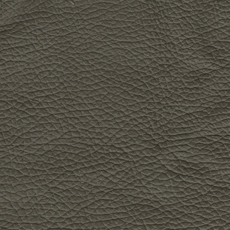 Benson Leather Chair - Coja