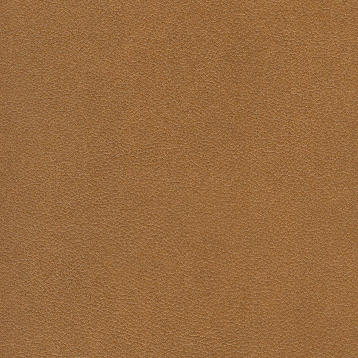 Cherish Leather Chofa Sectional Left Facing - Coja