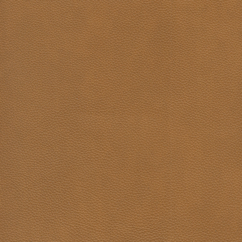 Cherish Leather Chofa Sectional Left Facing - Coja