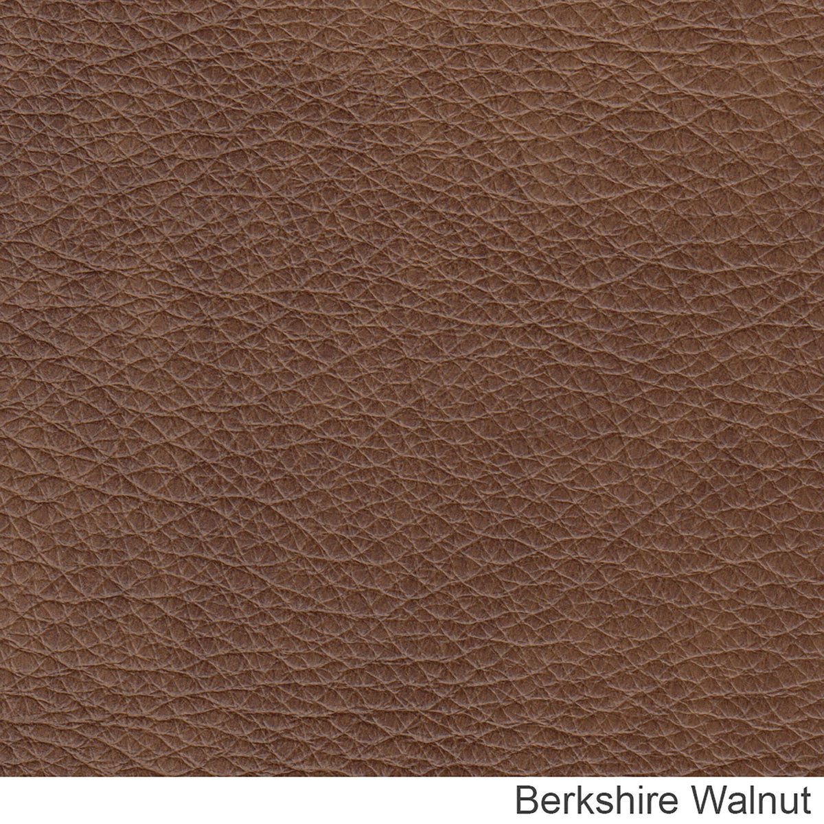 Middleton Genuine Leather Sofa With Nailhead Trim - Made in the U.S.A. - Coja