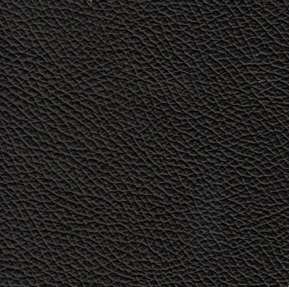 Benson Leather Chair - Coja
