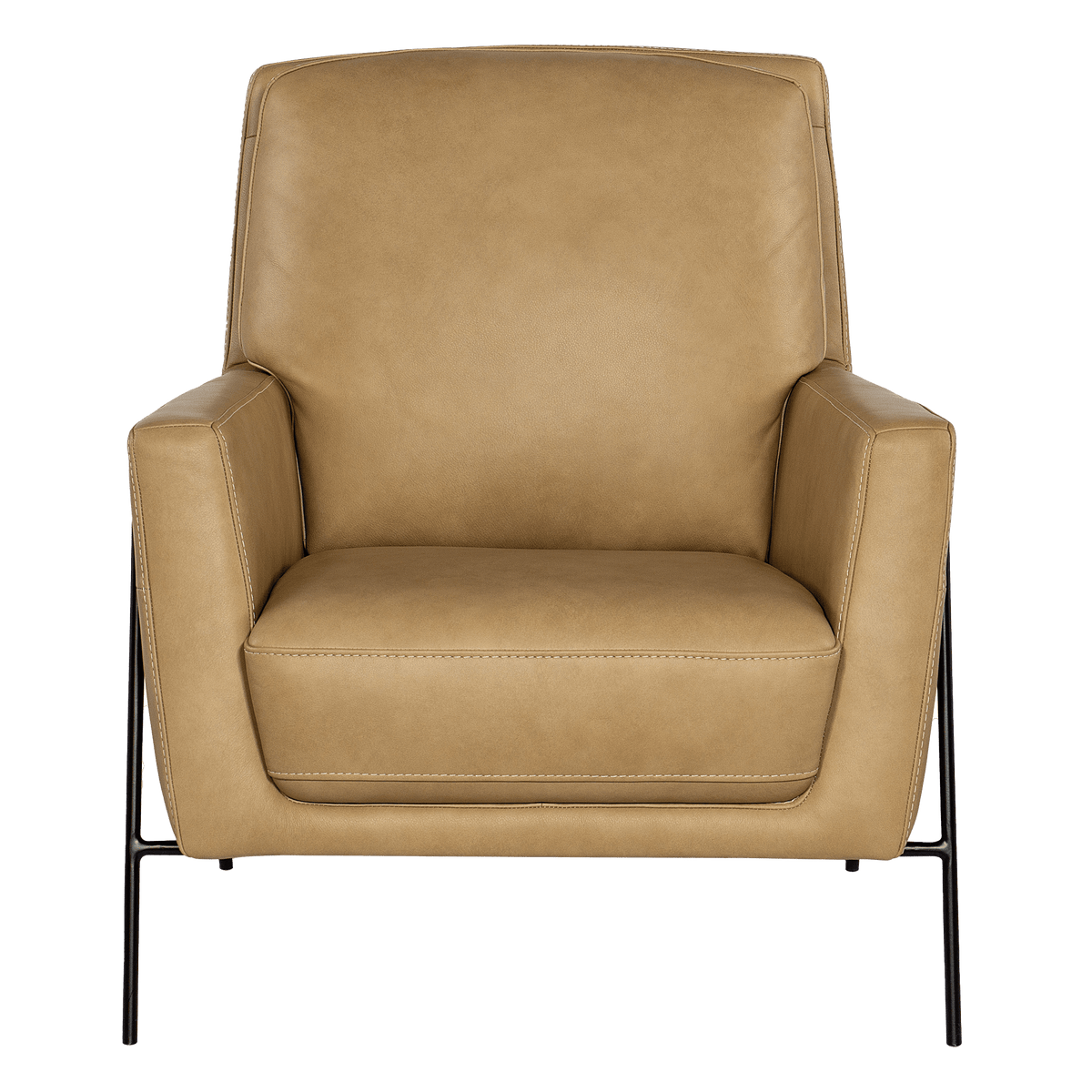 Aziel 30.5&quot; Wide Side Chair, Leather - Coja