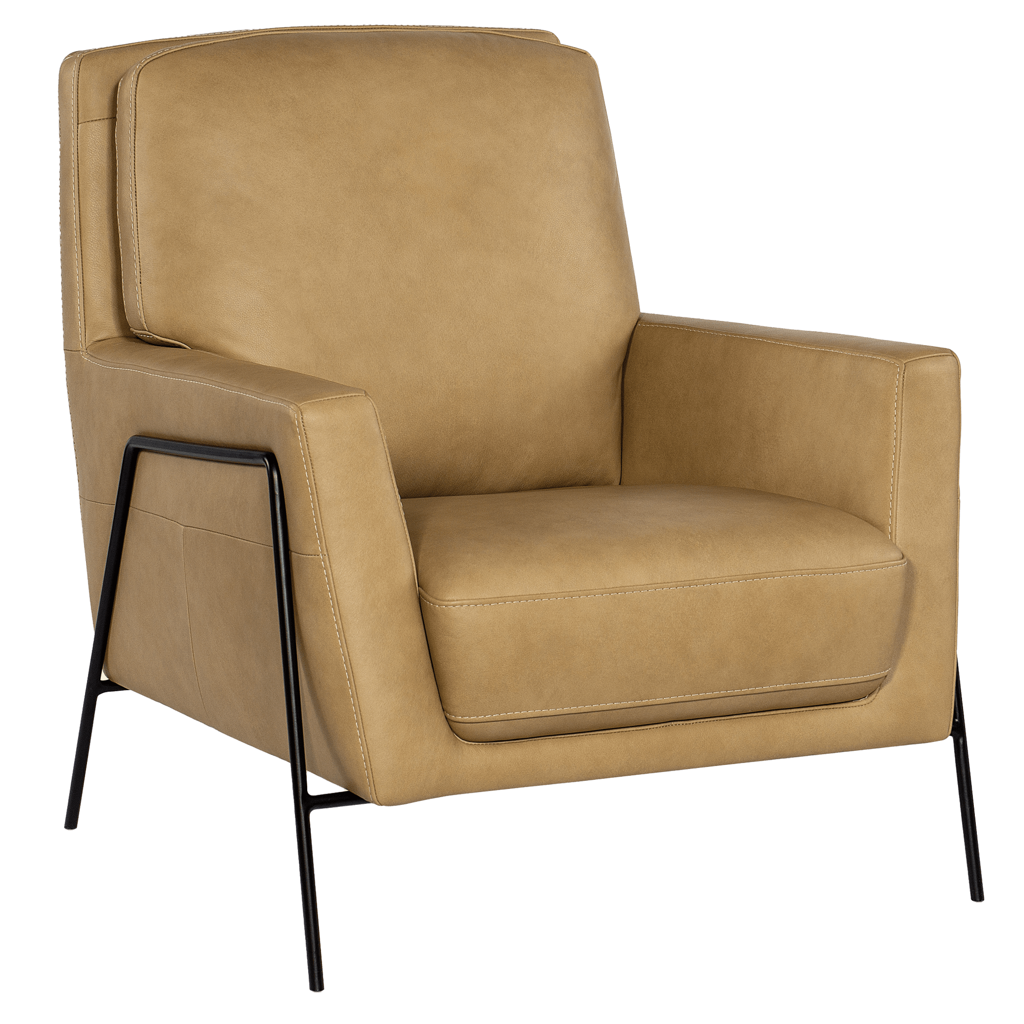 Aziel 30.5" Wide Side Chair, Leather