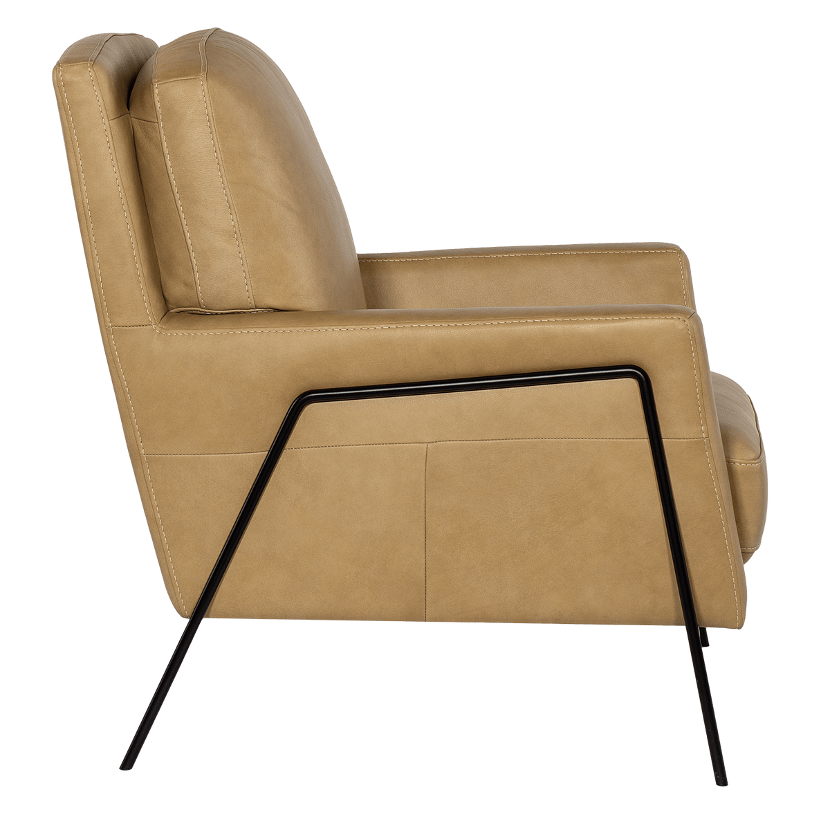 Aziel 30.5&quot; Wide Side Chair, Leather - Coja