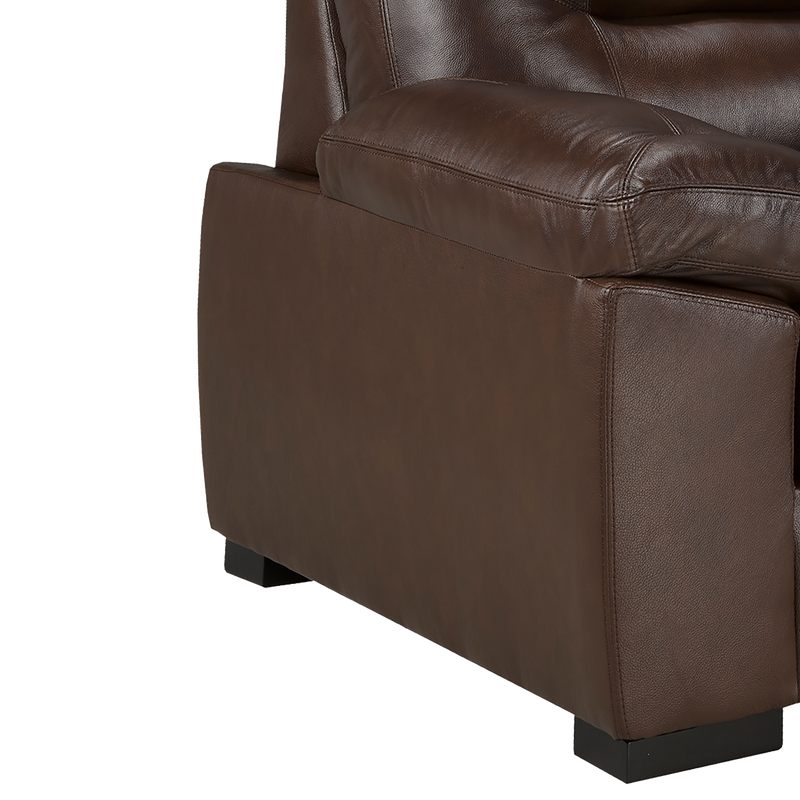 Baeza Leather Chair