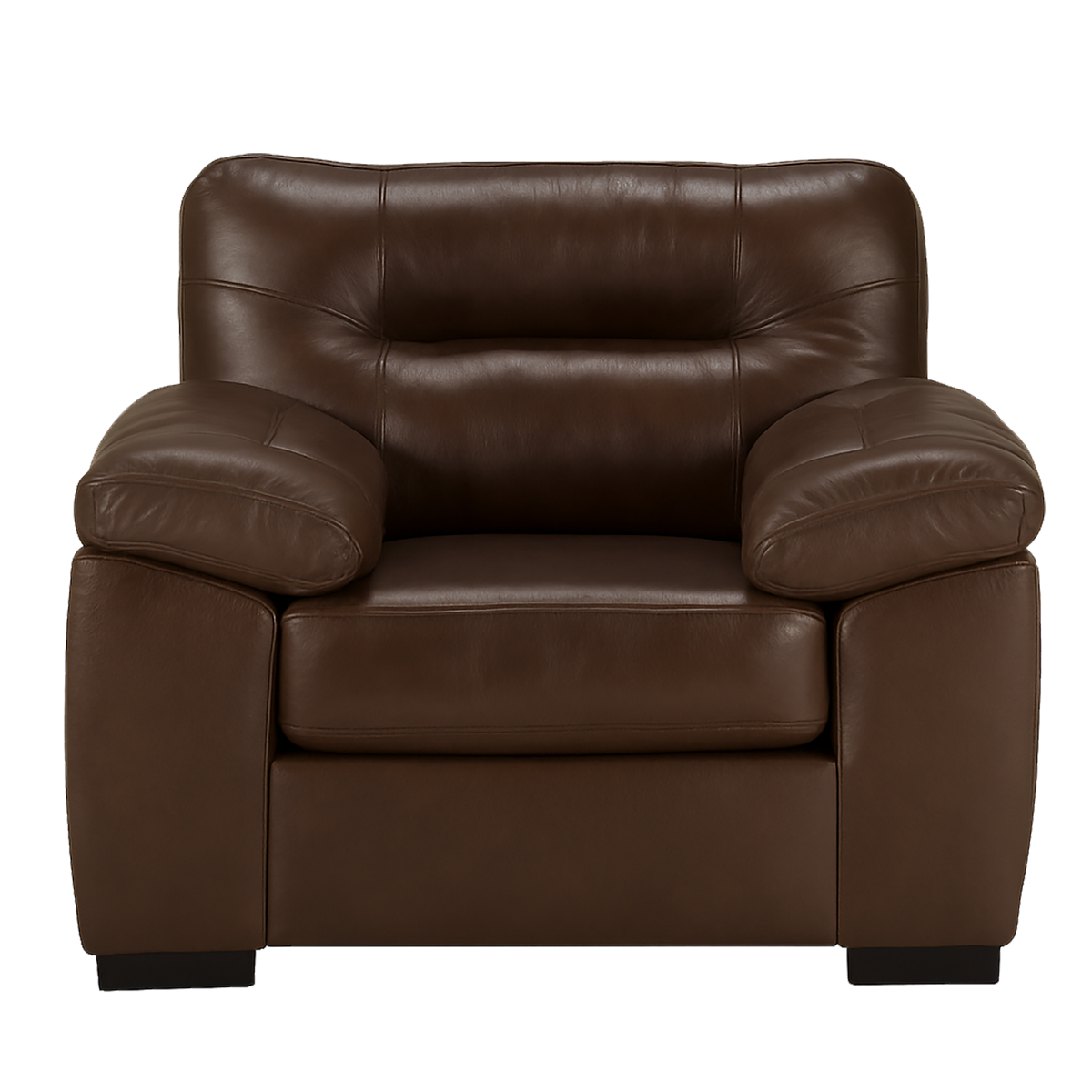Baeza Leather Chair