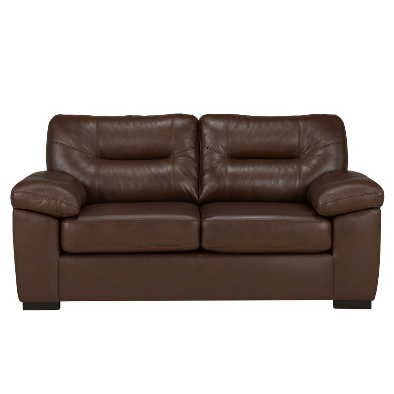 Baeza Leather Loveseat