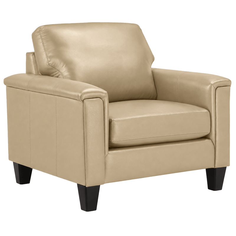 Benson Leather Chair - Coja