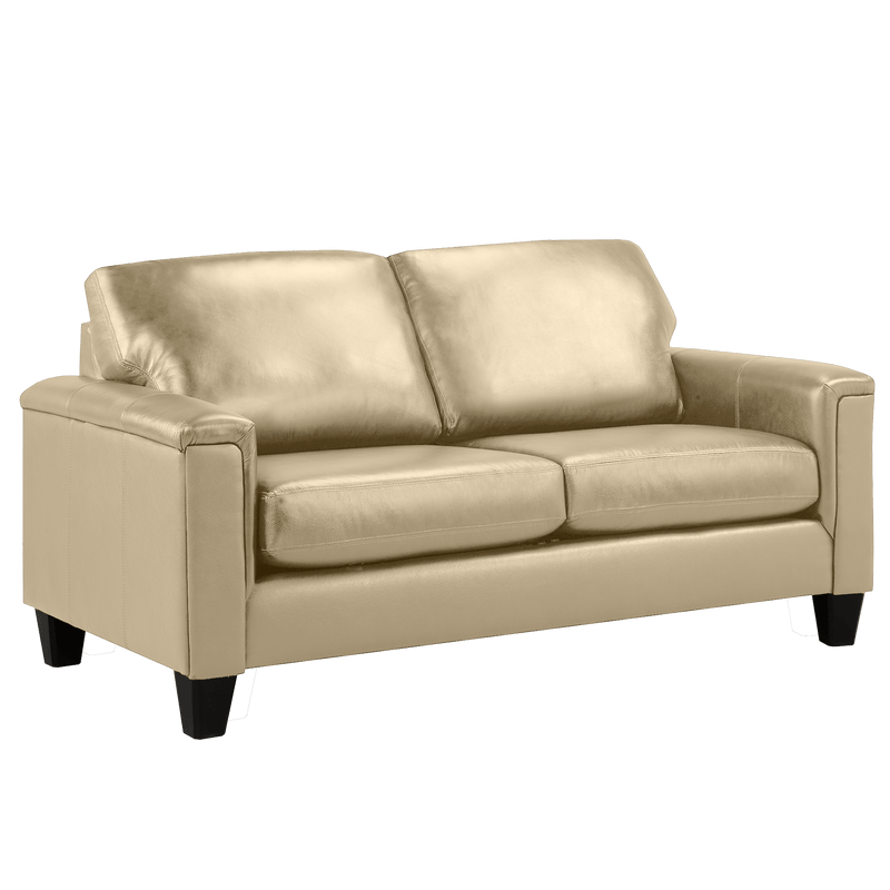 Benson Leather Sofa, Loveseat & Chair Set - Coja