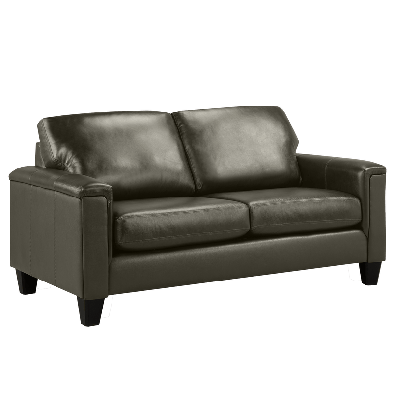 Benson Leather Sofa & Loveseat Set - Coja