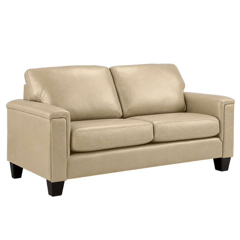 Benson Leather Loveseat - Coja