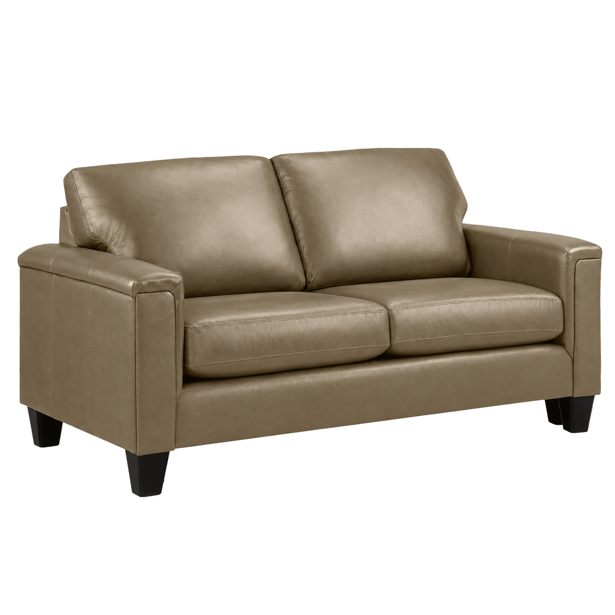 Benson Leather Loveseat - Coja