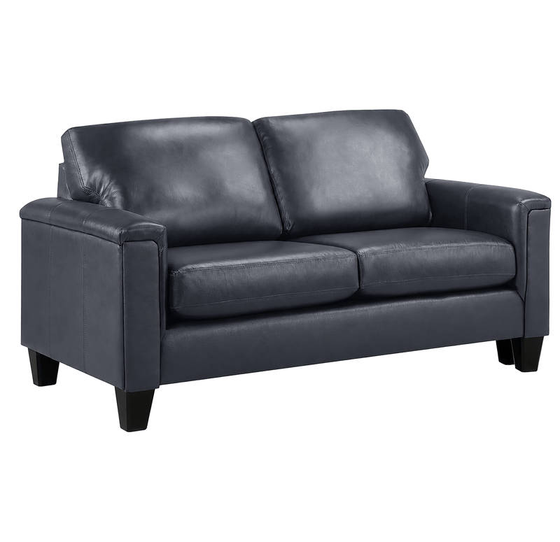 Benson Leather Loveseat - Coja