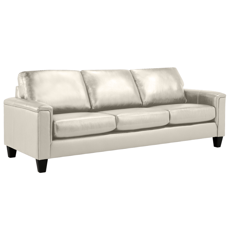 Benson Leather Sofa & Two Chair Set - Coja